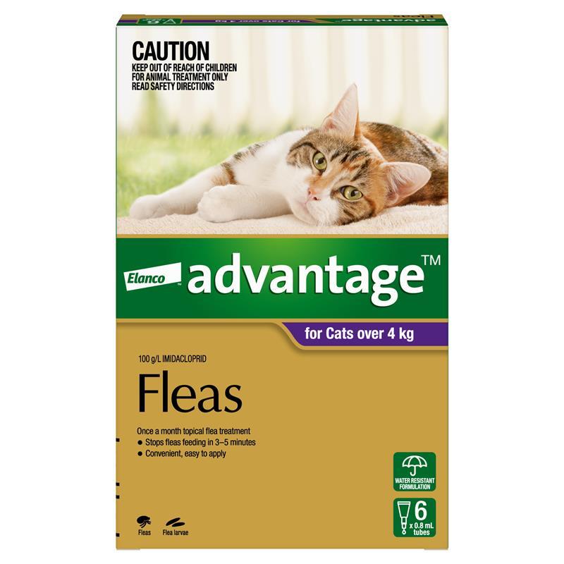 Load image into Gallery viewer, Advantage for Cats over 4kg 6 pack
