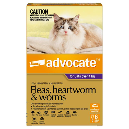 Advocate Cat 4KG plus Large 6