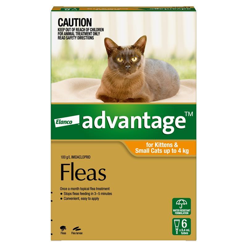 Load image into Gallery viewer, Advantage for Kittens &amp; Cats up to 4kg 6 pack
