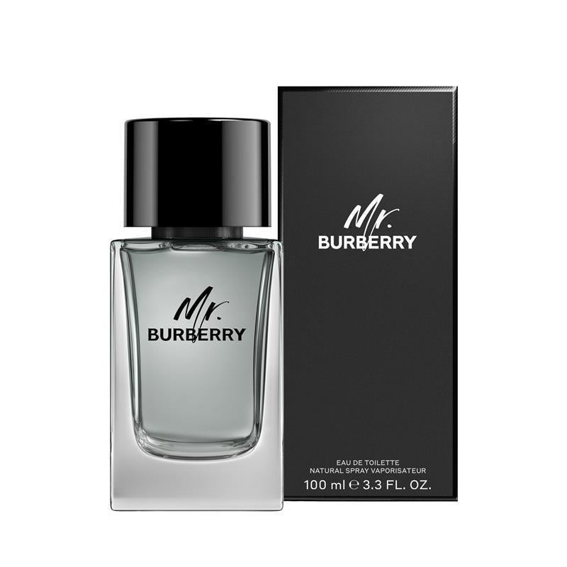 Load image into Gallery viewer, Burberry Mr Burberry Eau de Toilette 100ml
