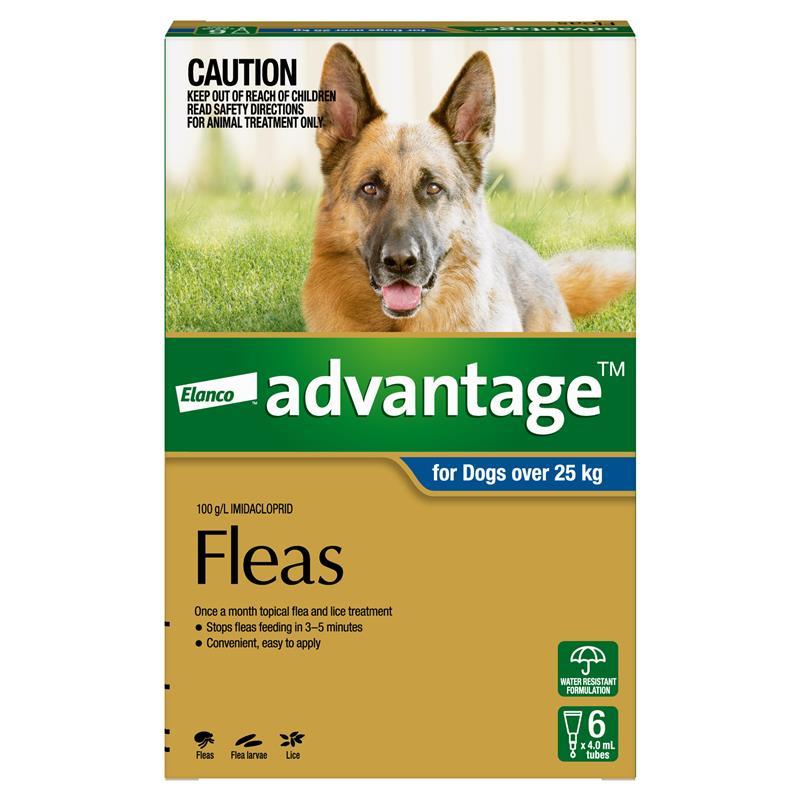 Load image into Gallery viewer, Advantage for Dogs over 25 kg 6 pack
