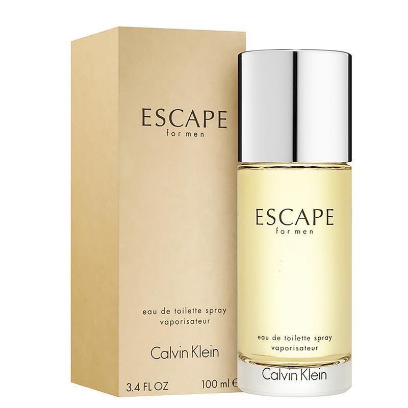 Load image into Gallery viewer, Calvin Klein Escape For Men Eau de Toilette 100ml
