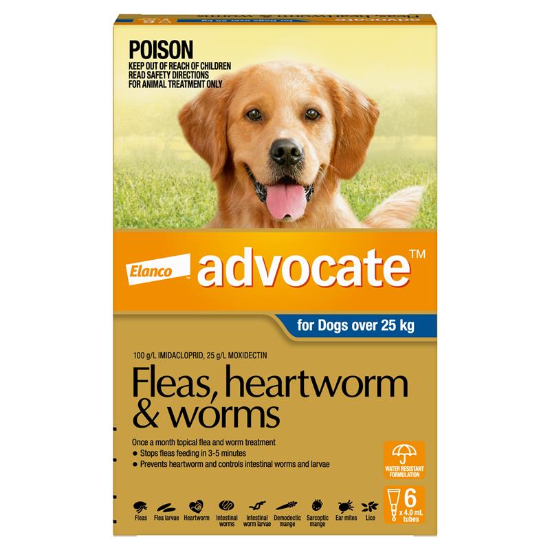 Load image into Gallery viewer, Advocate for Dogs Extra Large over 25 kg 6 pack
