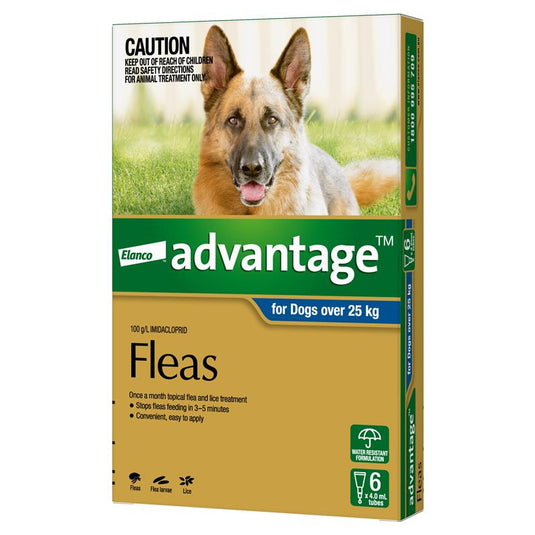 Advantage for Dogs over 25 kg 6 pack