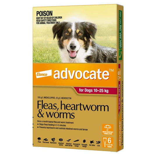 Advocate Dog Large 10-25KG 6