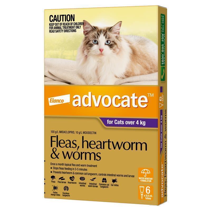 Load image into Gallery viewer, Advocate Cat 4KG plus Large 6
