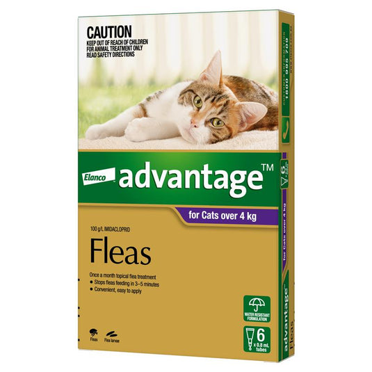 Advantage for Cats over 4kg 6 pack