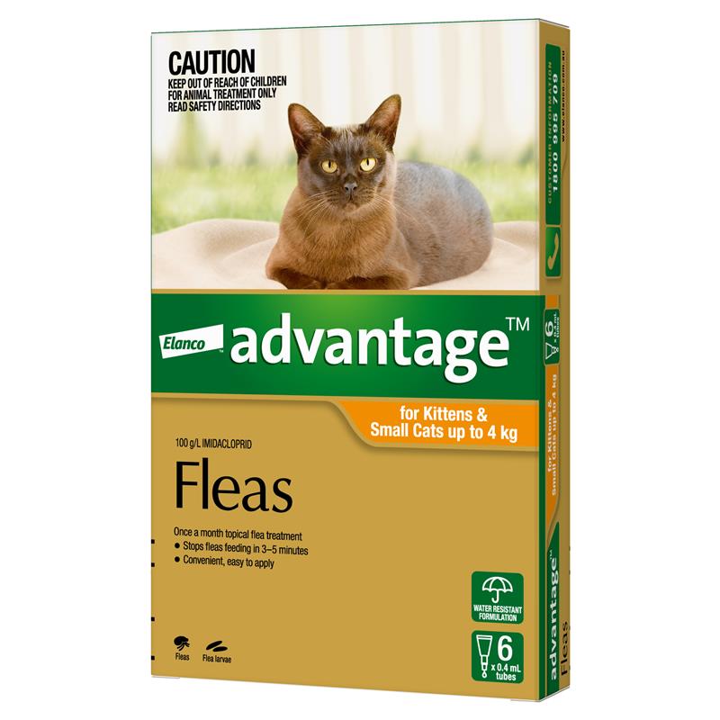 Load image into Gallery viewer, Advantage for Kittens &amp; Cats up to 4kg 6 pack
