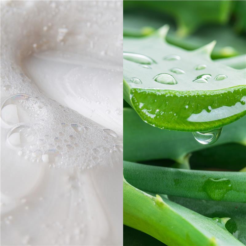 Load image into Gallery viewer, Palmolive Naturals Active Nourishment Normal Hair Shampoo Aloe Vera &amp; Fruit Vitamins 350mL
