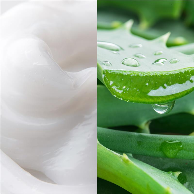 Load image into Gallery viewer, Palmolive Naturals Active Nourishment Normal Hair Conditioner Aloe Vera &amp; Fruit Vitamins 350mL
