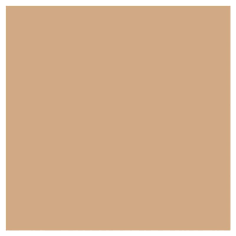Load image into Gallery viewer, Covergirl Outlast Extreme Wear Foundation 810 Classic Ivory 30ml
