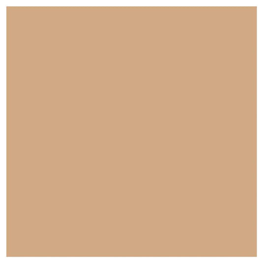Covergirl Outlast Extreme Wear Foundation 810 Classic Ivory 30ml