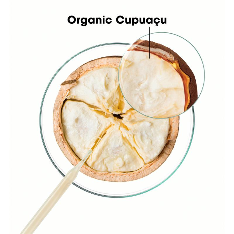 Load image into Gallery viewer, Klorane Conditioner With Organic Cupuacu 200ml
