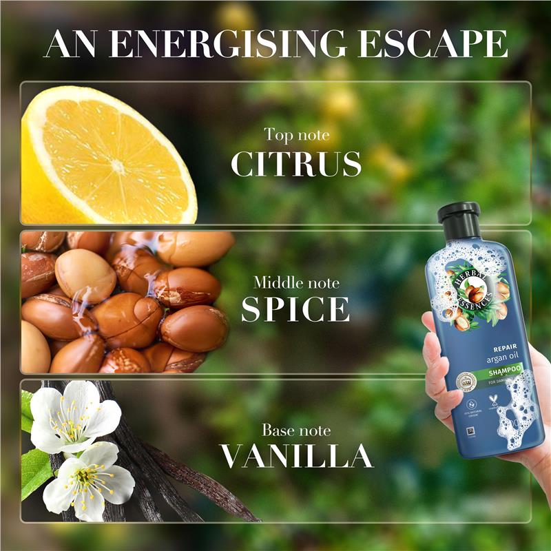 Load image into Gallery viewer, Herbal Essences Bio Renew Argan Oil of Morocco Conditioner 600ml NEW
