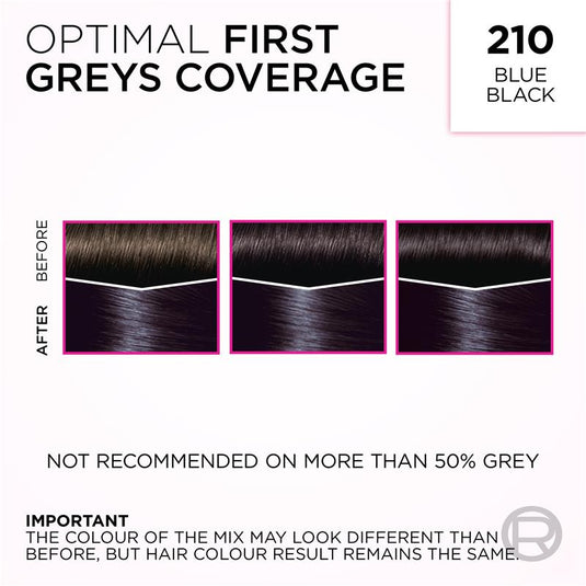 L'Oreal Paris Casting Creme Gloss Semi-Permanent Hair Colour - 210 Blue Black (Ammonia Free)