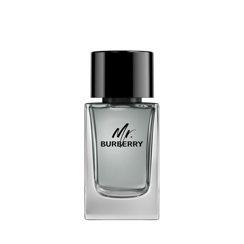 Load image into Gallery viewer, Burberry Mr Burberry Eau de Toilette 100ml

