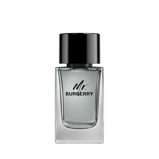 Burberry Mr Burberry Eau de Toilette 100ml