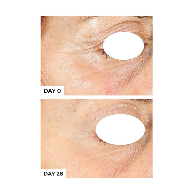 Load image into Gallery viewer, Freezeframe Pro-Collagen Sunceutical
