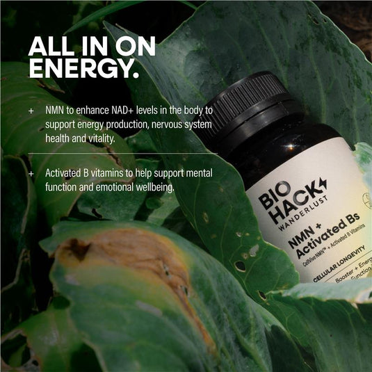 BioHack Wanderlust NMN + Activated Bs 30 Capsules