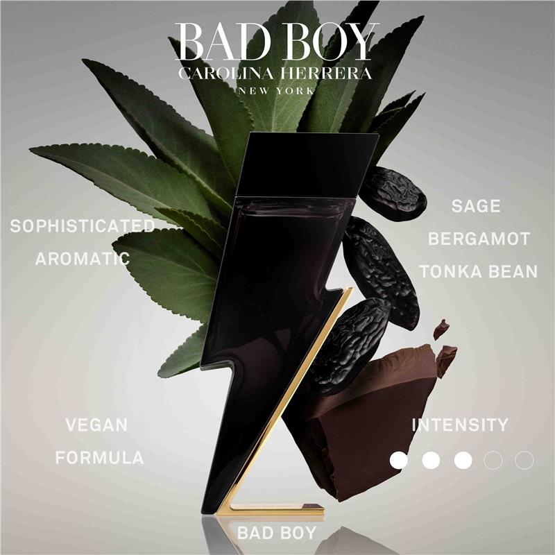 Load image into Gallery viewer, Carolina Herrera Bad Boy Eau de Toilette 50ml + Shower Gel 100ml + Eau de Toilette 10ml 3 Piece Set
