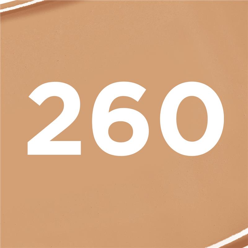 Load image into Gallery viewer, L'Oreal Paris Infallible 32H Matte Cover 4% Niacinamide 260
