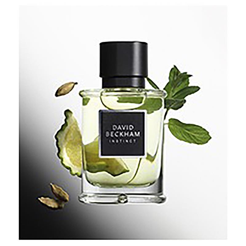 Load image into Gallery viewer, David Beckham Instinct Eau de Parfum 75ml
