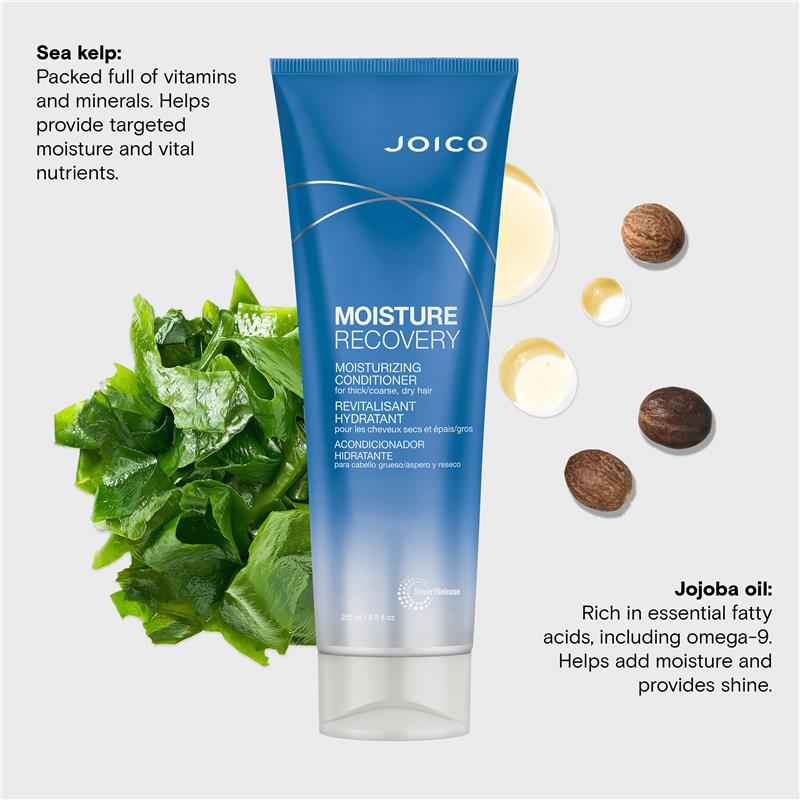 Load image into Gallery viewer, Joico Moisture Recovery Conditioner 250ml
