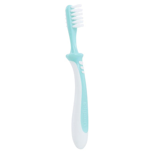 Pigeon Training Toothbrush Step 3