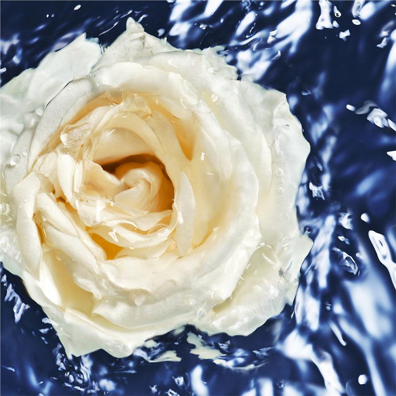 Load image into Gallery viewer, Davidoff Cool Water Oceanic For Women Eau de Toilette 100ml
