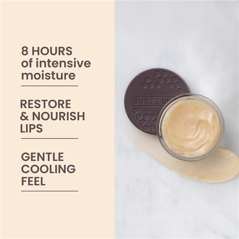Load image into Gallery viewer, Burts Bees Overnight Intensive Lip Treatment Blister 7.08g
