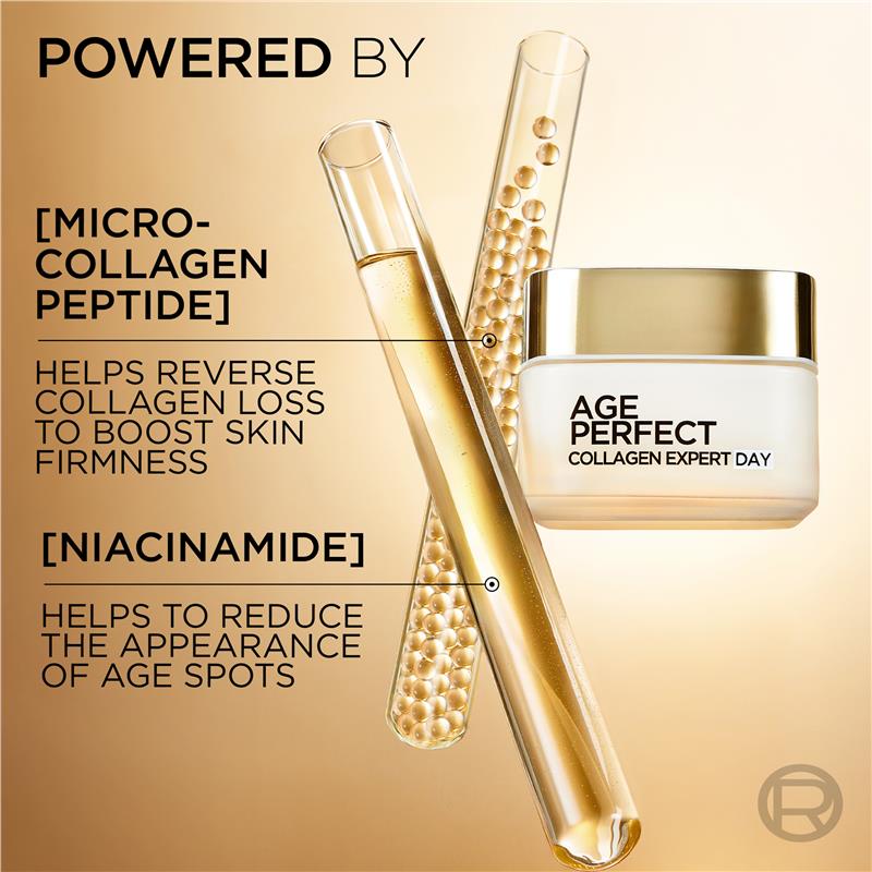 Load image into Gallery viewer, L'Oreal Paris Age Perfect Day Cream 50ml
