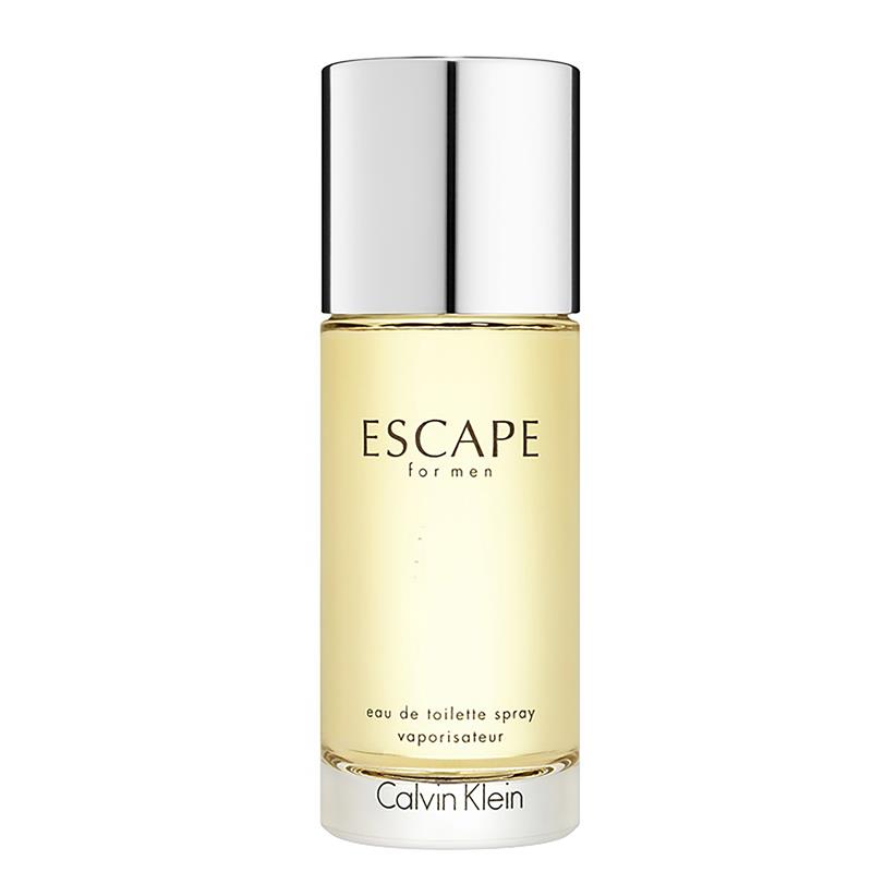 Load image into Gallery viewer, Calvin Klein Escape For Men Eau de Toilette 100ml
