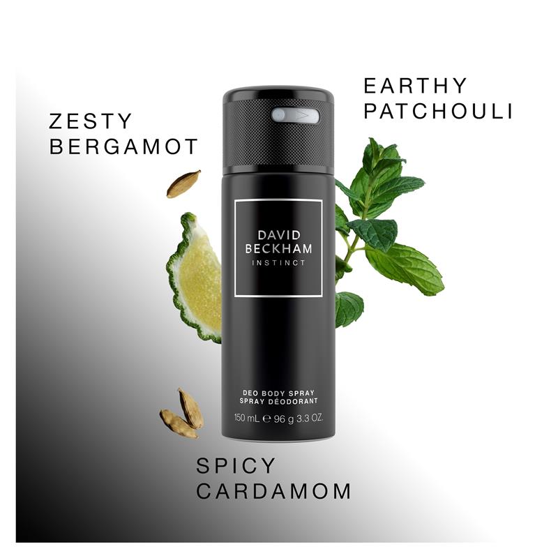 Load image into Gallery viewer, David Beckham Instinct Body Spray 150ml
