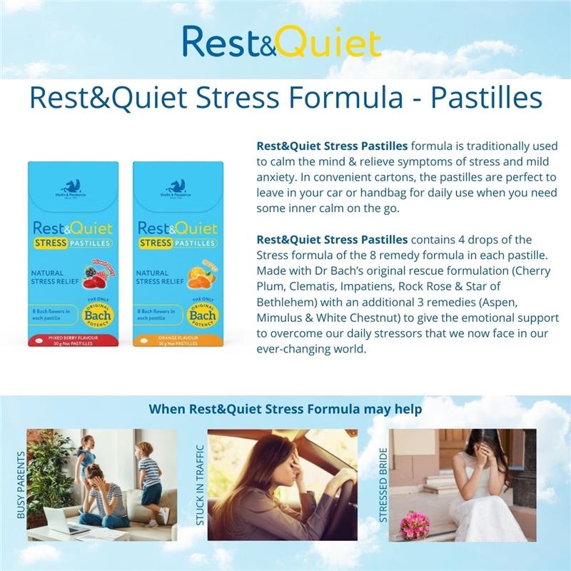 Load image into Gallery viewer, Rest &amp; Quiet Calm Pastilles Orange 50g

