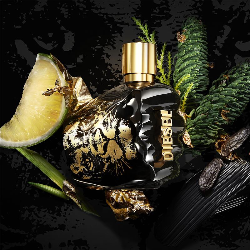 Load image into Gallery viewer, Diesel Spirit Of The Brave Eau de Toilette 50ml
