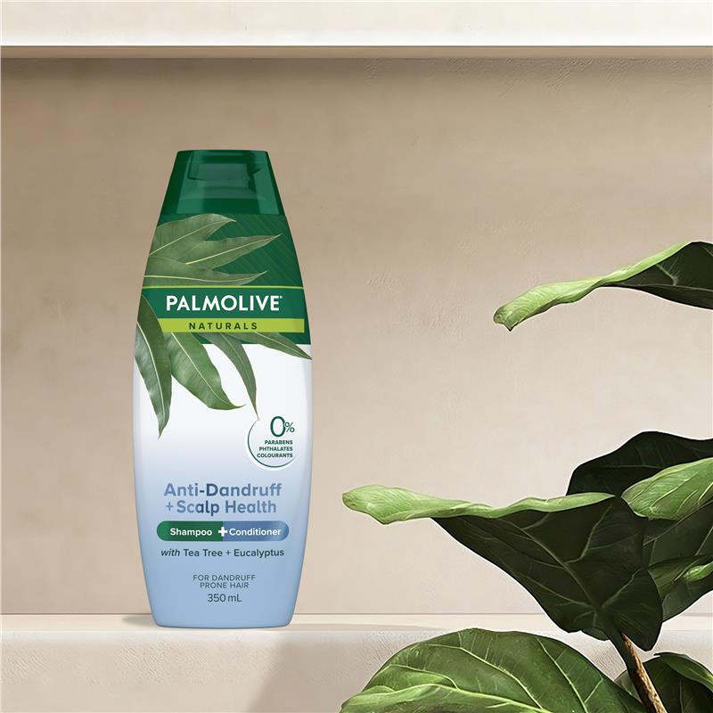 Load image into Gallery viewer, Palmolive Anti-dandruff 2 in 1 Shampoo &amp; Conditioner 350ml

