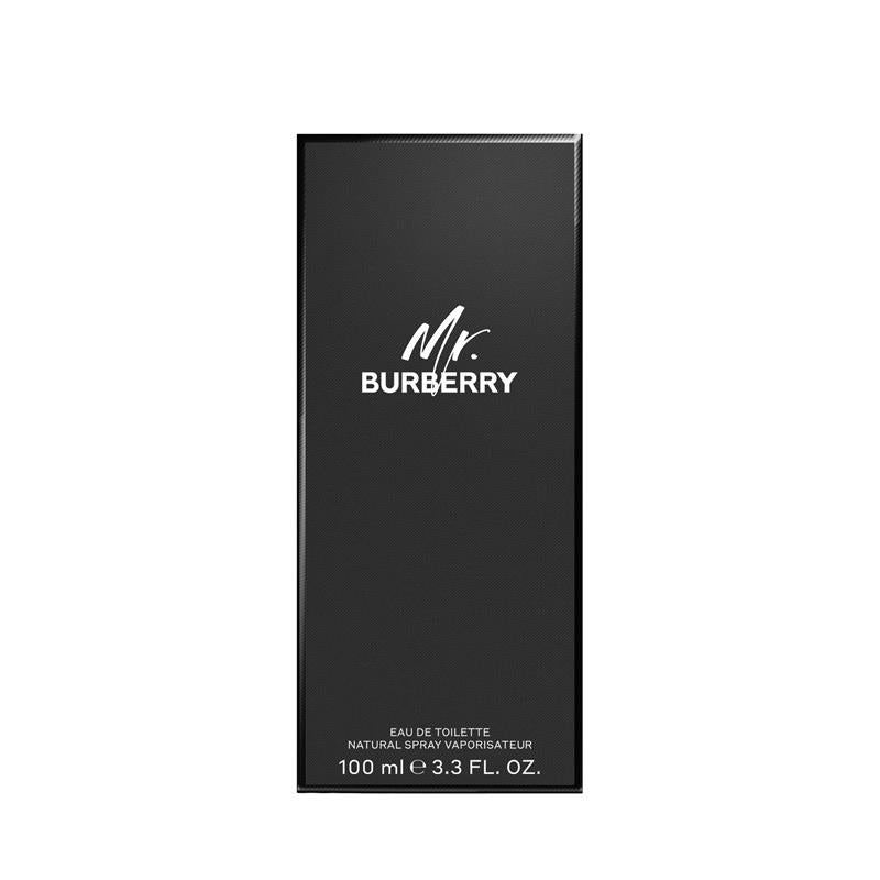 Load image into Gallery viewer, Burberry Mr Burberry Eau de Toilette 100ml
