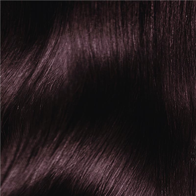 Load image into Gallery viewer, L'Oreal Paris Preference Toronto 3.12  Intense Cool Dark Brown
