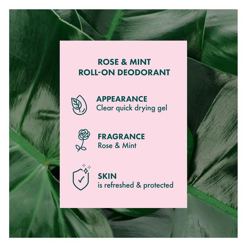 Load image into Gallery viewer, Akin Rose &amp; Mint Deodorant Roll On 65ml
