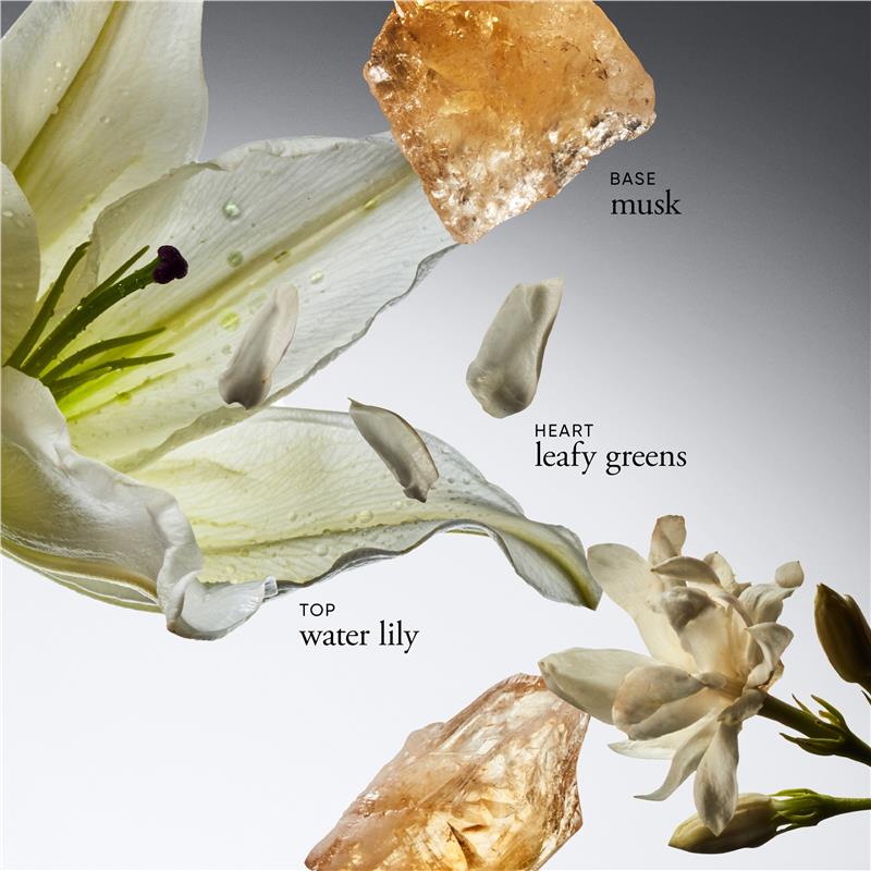 Load image into Gallery viewer, philosophy Pure Grace Eau de Toilette 60ml
