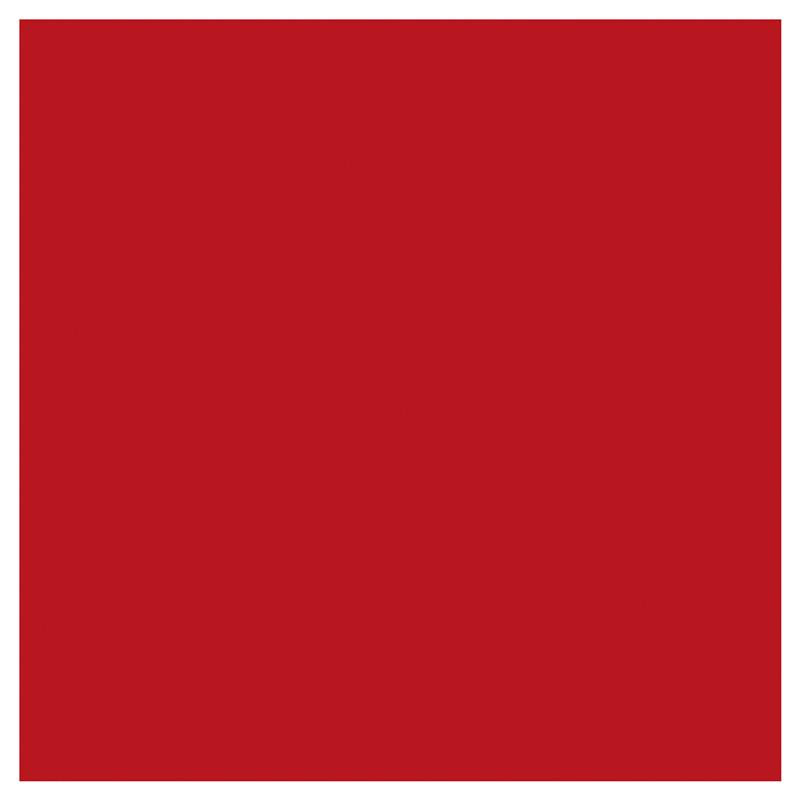 Load image into Gallery viewer, Sally Hansen Insta-Dri Nail Colour Augmented Red-ality  9.17ml
