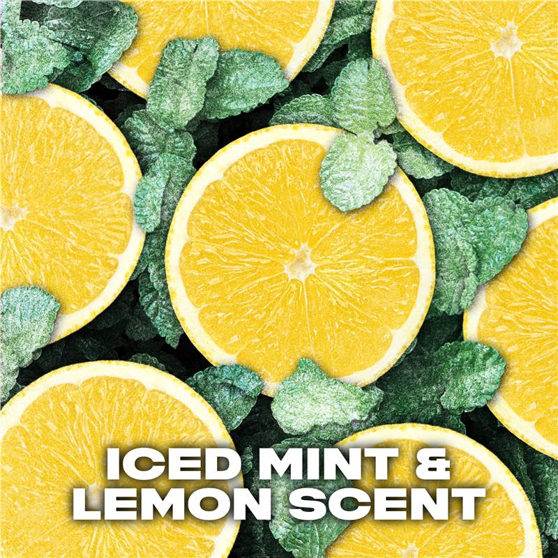 Load image into Gallery viewer, Lynx Deodorant Ice Chill 165ml

