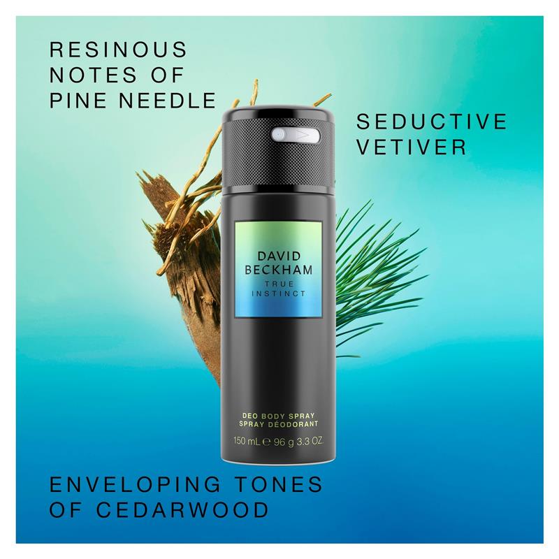 Load image into Gallery viewer, David Beckham True Instinct Body Spray 150ml
