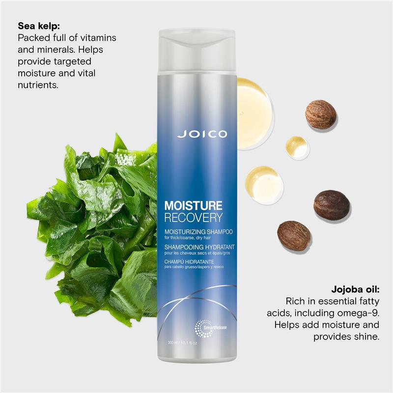 Load image into Gallery viewer, Joico Moisture Recovery Shampoo 300ml
