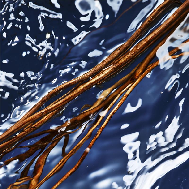 Load image into Gallery viewer, Davidoff Cool Water Man Oceanic Edition Eau de Toilette 125ml
