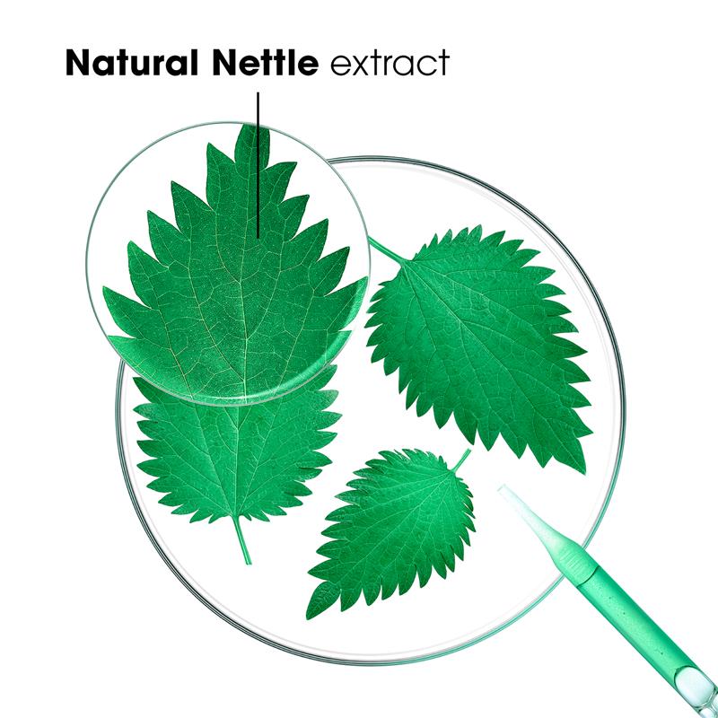 Load image into Gallery viewer, Klorane Shampoo with Organic Nettle 400ml
