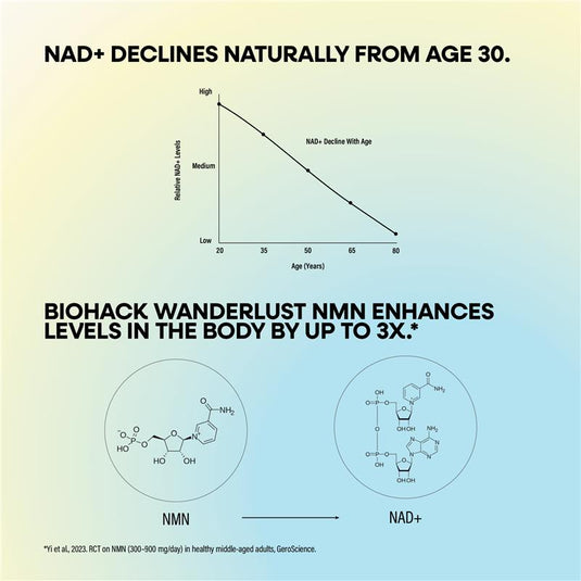 BioHack Wanderlust NMN 250 30 Capsules