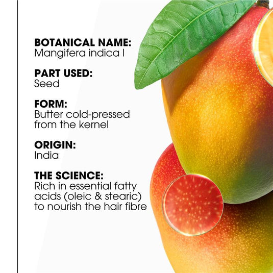 Klorane Nourishing Mango Butter Mask 150ml