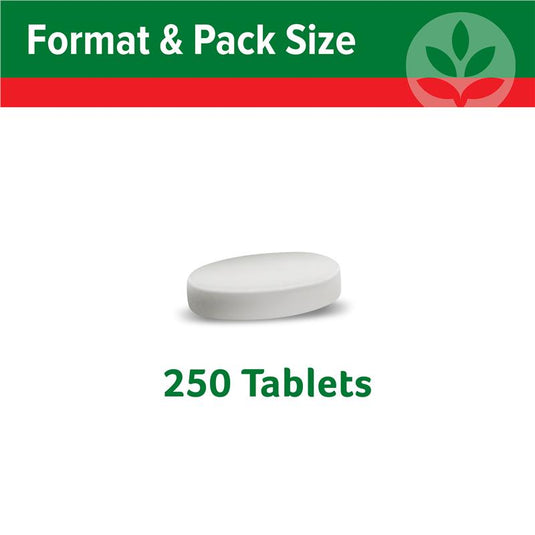 Cenovis Magnesium Value Pack 250 Tablets Exclusive Size