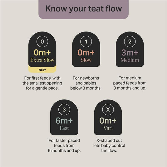Tommee Tippee Natural Start Medium Flow Teats 2 Pack